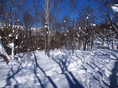 在深雪覆盖的森林里穿雪鞋徒步旅行