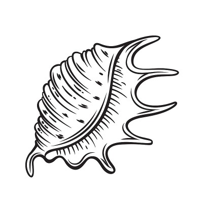 手绘海贝