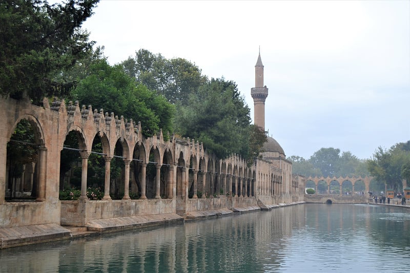 亚伯拉罕池(Balikli Göl): Sanliurfa，土耳其