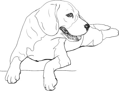 小猎犬号