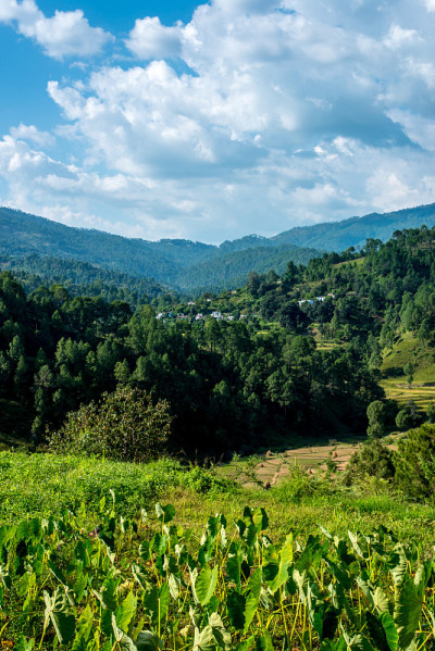 Bageshwar，北阿坎德邦，印度