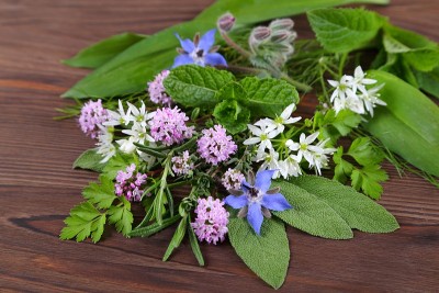香料和草药。