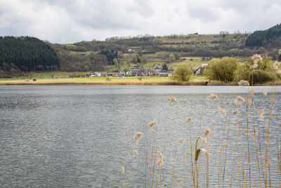 但更felder, Eifel，德国