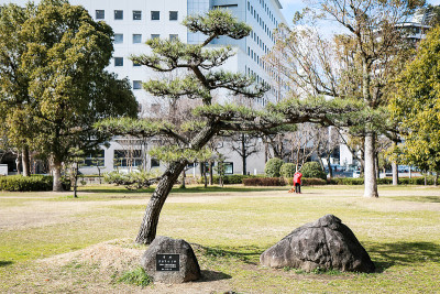 日本