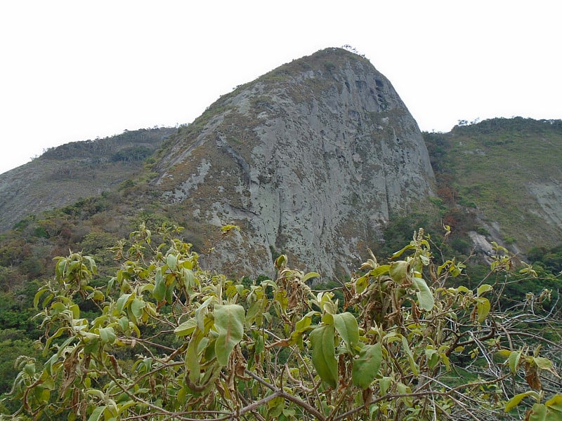 山地及热带森林