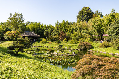 “龙谷”景观，位于安杜泽竹林(法国奥西塔尼)塞文山中心的亚洲花园