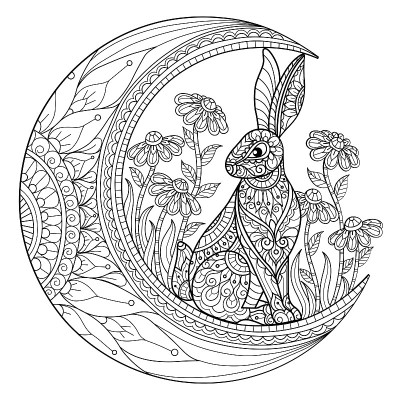 月亮上的兔子成人涂色页，插画风格。
