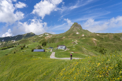 在奥地利佛拉尔伯格的阿尔卑斯山上骑电动山地车的老妇人