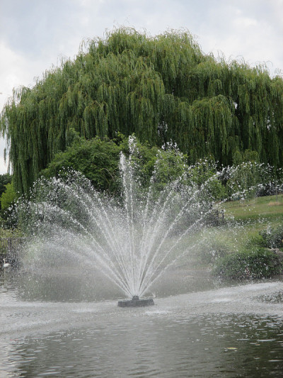 水射流垂柳