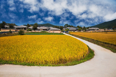 乡村秋天的乡村