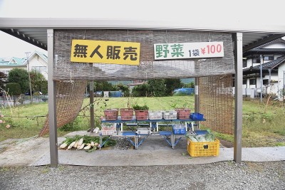 荣誉系统蔬菜站在日本的农村。