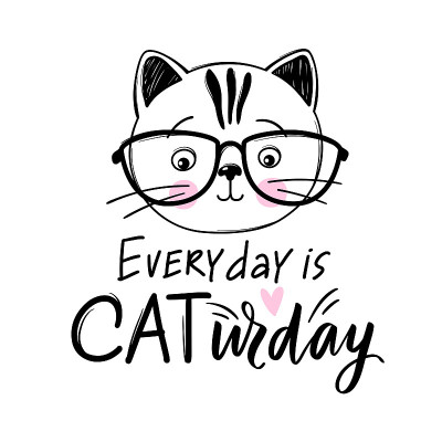 矢量可爱的猫插图。手绘时髦的小猫。嘟嘟猫。