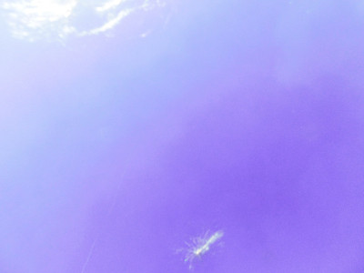 棉花在天空中飞舞