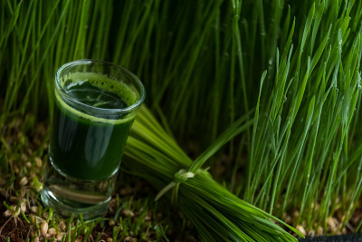 小麦草汁