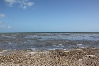 苍鹭关闭七英里大桥，海外高速公路，小鸭子礁岛，佛罗里达群岛，美国