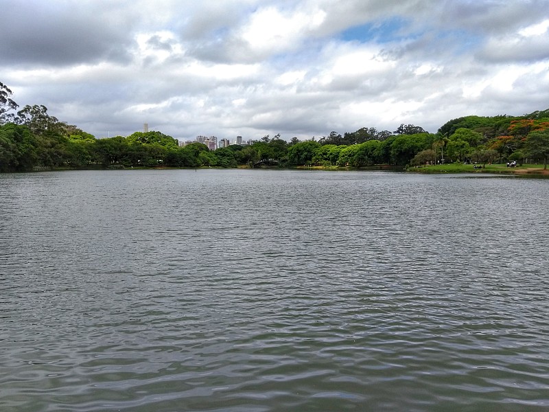 巴西圣保罗湖区Ibirapuera公园