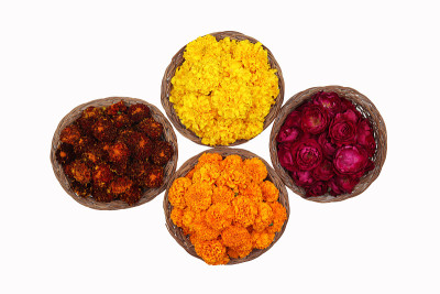 在Shubh Deepawali, Dussehra, Navratri, Durga Pooja等