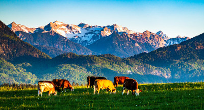 benediktbeuern附近的风景