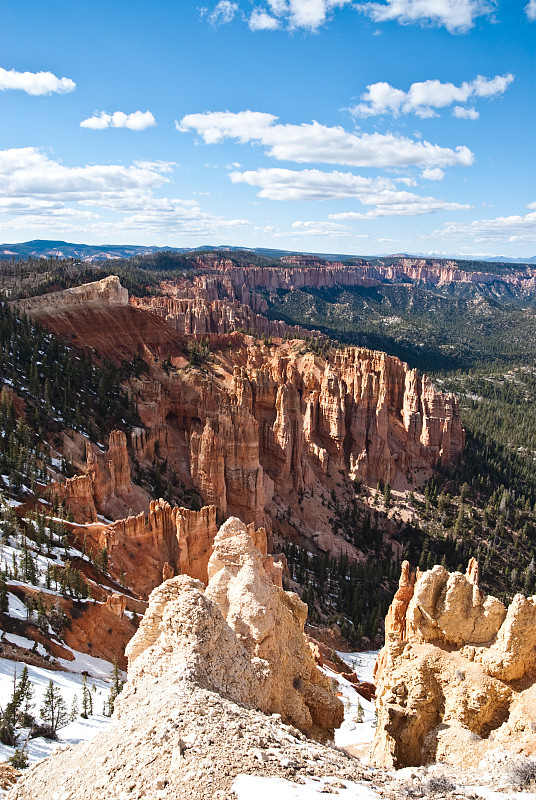白色，红色hoodoo和森林峡谷