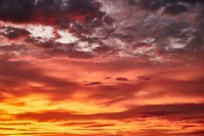 红色的夕阳。日落的天空。红色的。