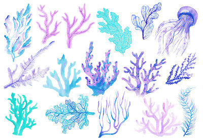 水彩珊瑚。海底世界