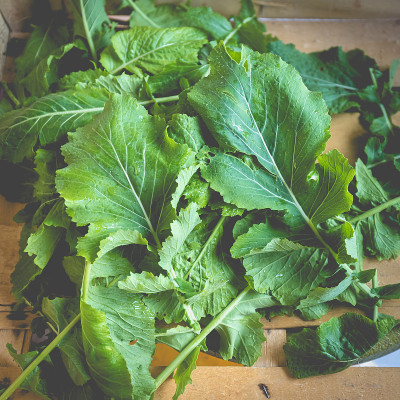 纳比卡叶——装在板条箱里的传统葡萄牙卷心菜
