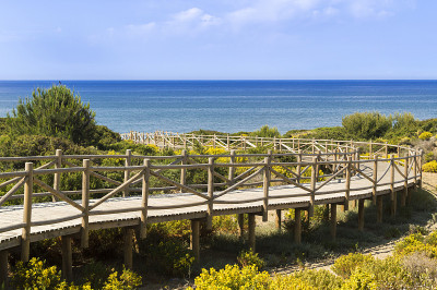artola自然保护区的沙丘位于西班牙马拉加的Cabopino Marbella Costa del