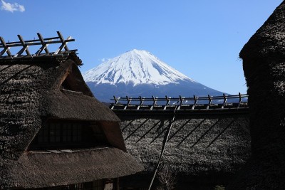 从斋子屋野佐藤嫩叶看富士山