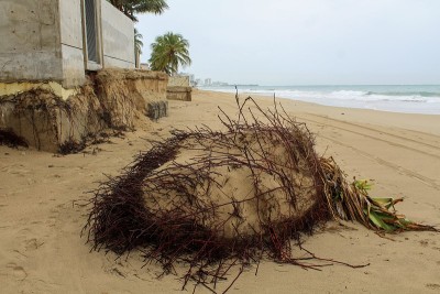 飓风María过后，波多黎各圣胡安海洋公园海滩沿岸的沙子、土壤和地基受到侵蚀