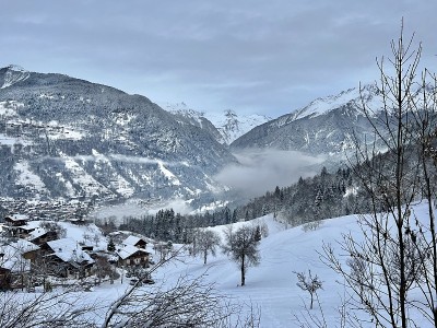 冬天的村庄被白雪覆盖