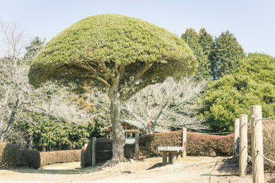 板凳上风光