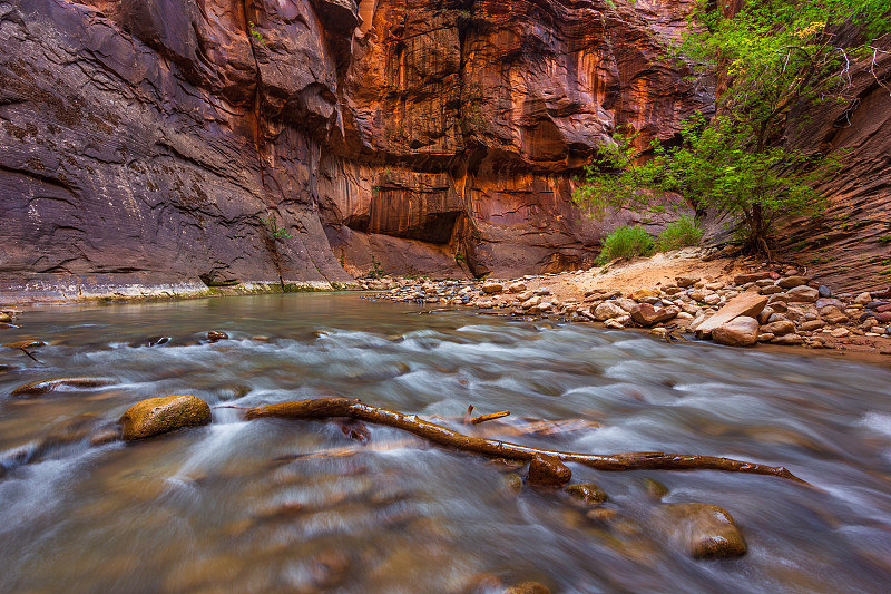 锡安国家公园里的Virgin River Narrows。