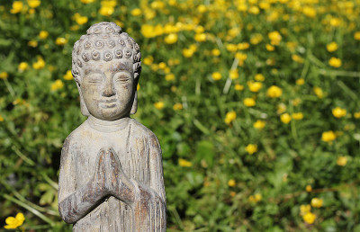 以黄花田野为背景的佛像