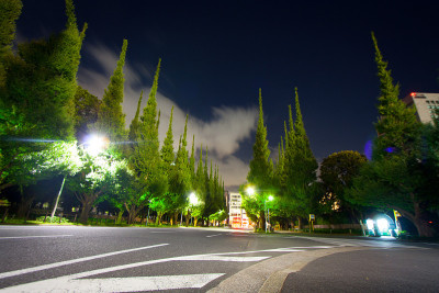 东京青山明治神宫外苑