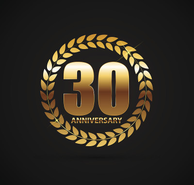 模板符号30年周年矢量插图
