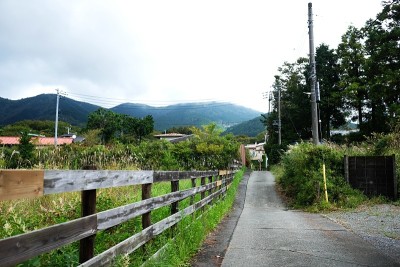 仙谷原的乡村公路;箱根,日本