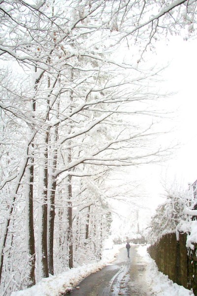 村子里的雪
