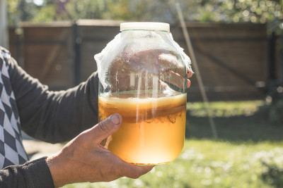 自制的发酵康普茶或苹果酒。康普茶是益生菌的来源，富含抗氧化剂，含有维生素和矿物质。