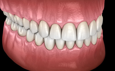 侧面图，正常咬合的健康人类牙齿。医学上准确的牙齿3D插图