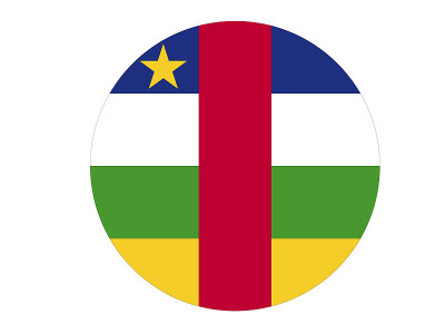 中非共和国旗