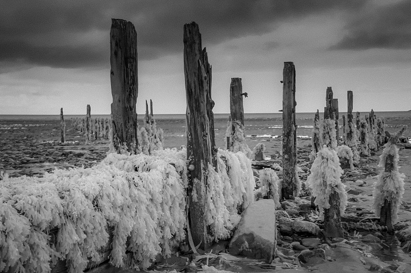 3 . Groynes at low tide低潮