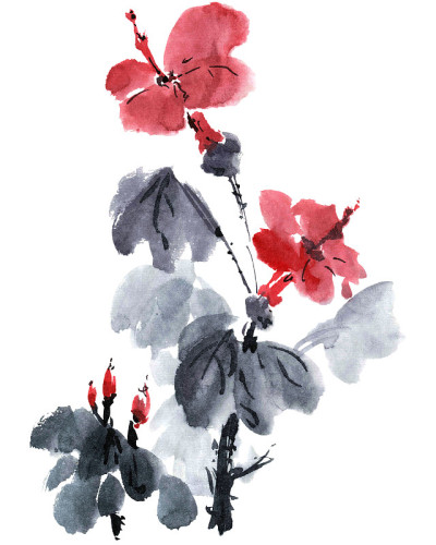 水彩花花