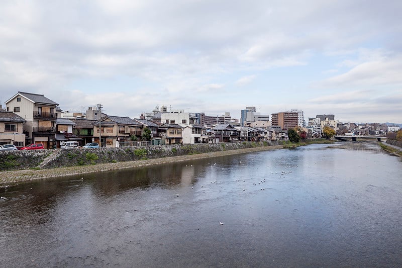 日本京都的加茂河