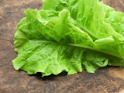 Korean lettuce6