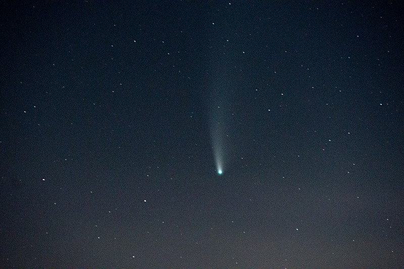 彗星C/2020 F3 Neowise在星空