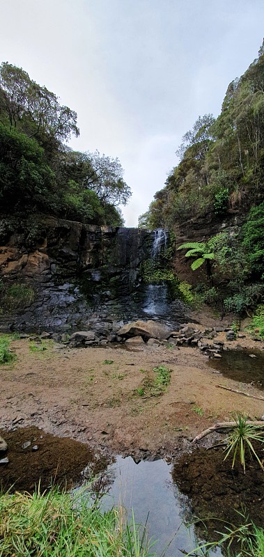 Goldie Bush步道，Muriwai和Te Henga地区，新西兰奥克兰