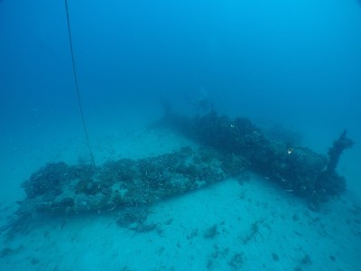 二战时日本海军的杰克水上飞机