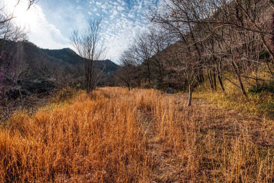 葛西市Furubokke的冬季山路