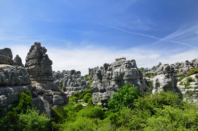 El Torcal自然保护区的春景