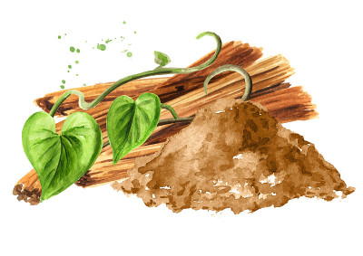Bark and powder from medicinal plant Cats claw or 